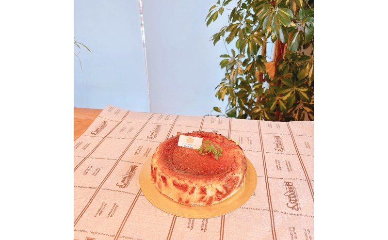 ããŒãºã±ãŒã ç±³ç²ã®ãã¹ã¯ããŒãºã±ãŒãïŒã°ã«ãã³ããªãŒïŒ ç±³ç² ã±ãŒã ããŒãº ã¯ãªãŒã ããŒãº å·å ãèå ã¹ã€ãŒã ãã¶ãŒã æ°æœç æ°æœåž