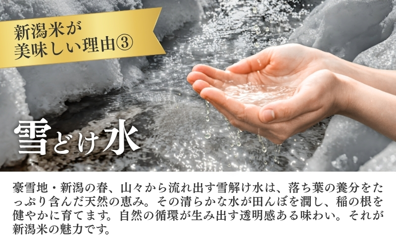 R7年産米【定期便】新潟産コシヒカリ5kg×3回