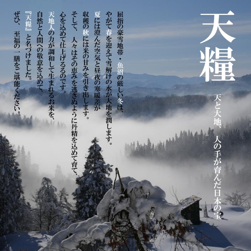 新潟県産コシヒカリ5kg　米 コメ こしひかり ブランド米 お取り寄せ 新潟市