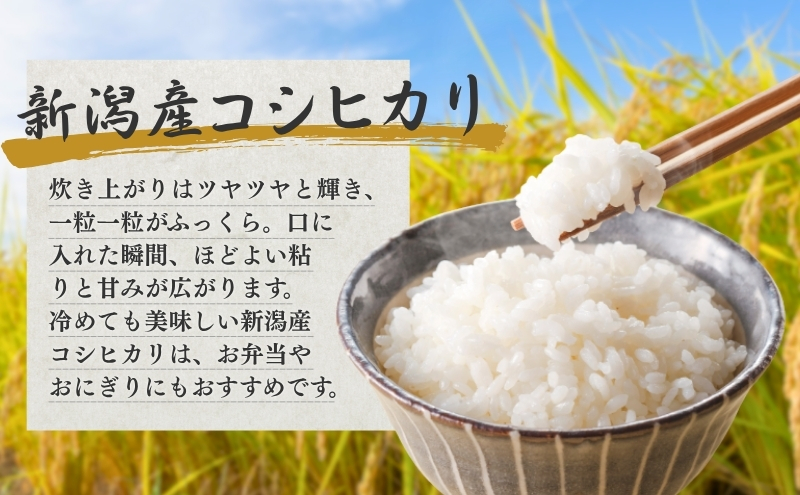 【定期便】新潟産コシヒカリ5kg×2回 米 こしひかり 定期 新潟市