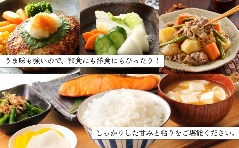 【定期便】新潟産コシヒカリ5kg×2回 米 こしひかり 定期 新潟市