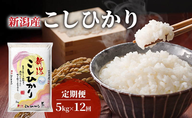 【定期便】新潟産コシヒカリ5kg×12回 米 こしひかり 定期 新潟市