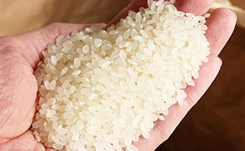 【定期便】コシヒカリブレンド5kg×12回 米 こしひかり ブレンド 定期 新潟市