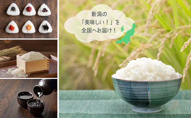 【定期便】コシヒカリブレンド5kg×12回 米 こしひかり ブレンド 定期 新潟市