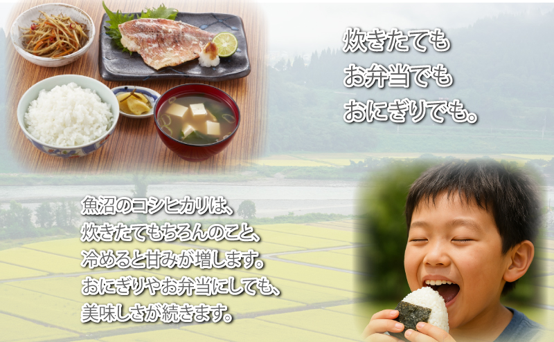 新潟産コシヒカリ2kg