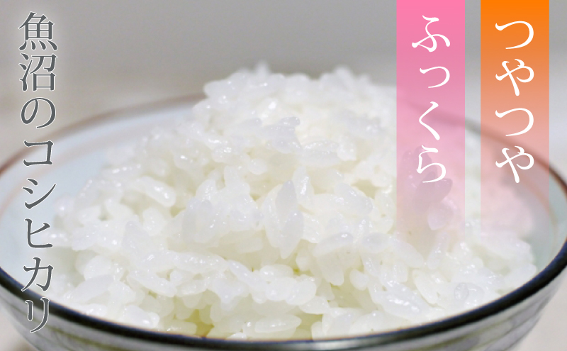 新潟産コシヒカリ600g