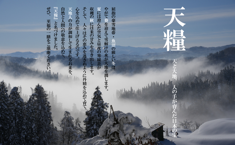 新潟産コシヒカリ600g