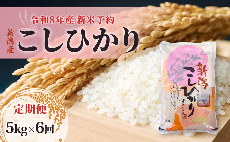 【先行予約】令和8年産新米予約【定期便】新潟産コシヒカリ5kg×6回　米 精米 こしひかり お取り寄せ 新潟県 新潟市