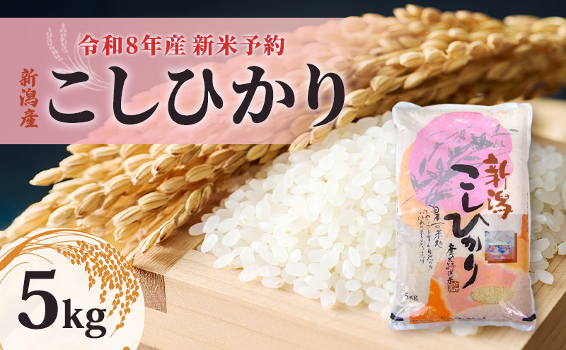 【先行予約】令和8年産新米予約新潟産コシヒカリ5kg　米 精米 こしひかり お取り寄せ 新潟県 新潟市