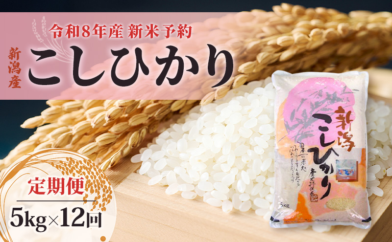 【先行予約】令和8年産新米予約【定期便】新潟産コシヒカリ5kg×12回　米 精米 こしひかり お取り寄せ 新潟県 新潟市