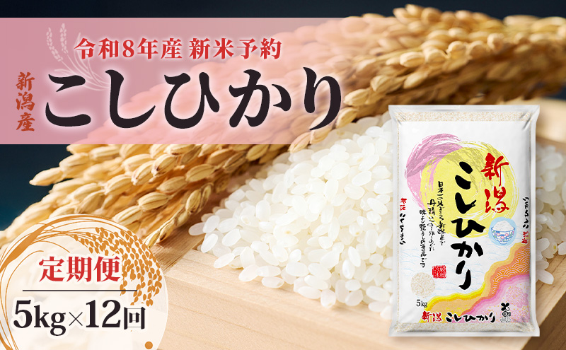 【先行予約】令和8年産新米予約【定期便】新潟産コシヒカリ5kg×12回　米 精米 こしひかり お取り寄せ 新潟県 新潟市