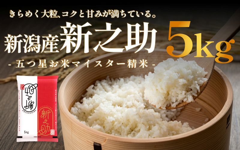 新潟産 新之助5kg 産地直送