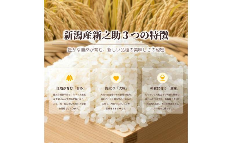 譁ー貎溽肇 譁ー荵句勧5kg 逕」蝨ー逶エ騾