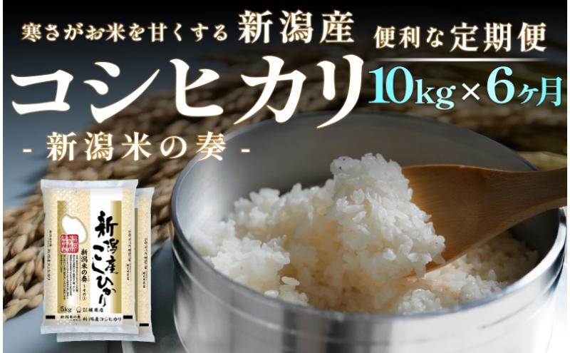 【定期便】新潟産 コシヒカリ 10kg×6回（6ヶ月）