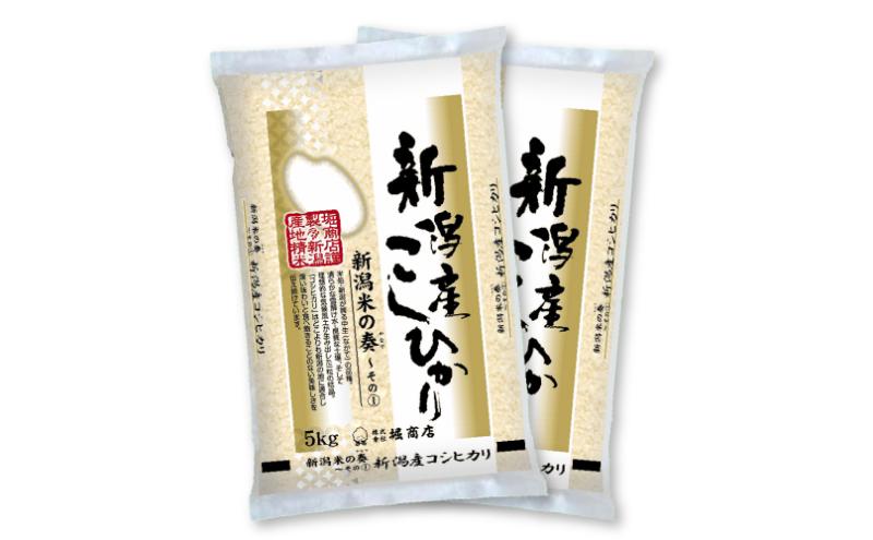 【定期便】新潟産 コシヒカリ 10kg×6回（6ヶ月）