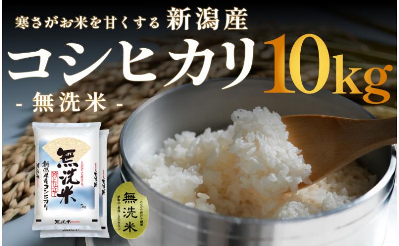 無洗米 新潟産 コシヒカリ 10kg (5kg x 2) 令和7年産
