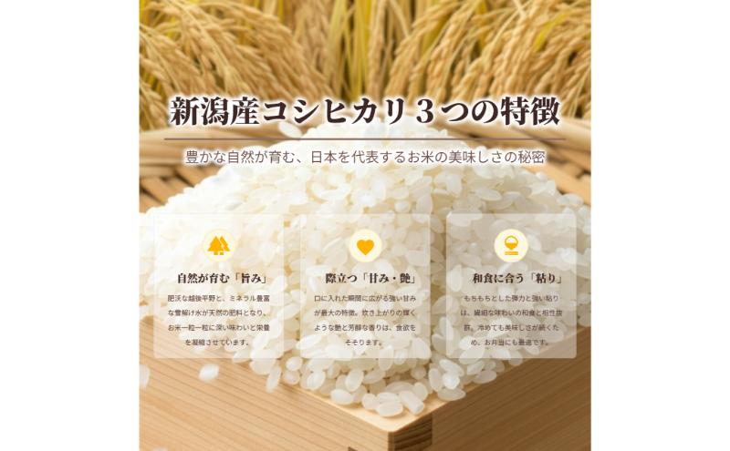 無洗米 新潟産 コシヒカリ 3kg 令和7年産
