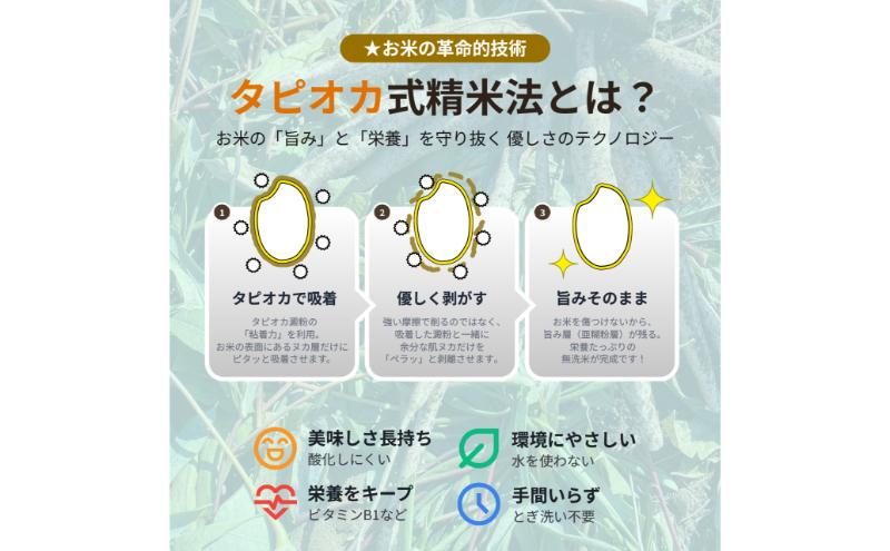 無洗米 新潟産 コシヒカリ 3kg 令和7年産
