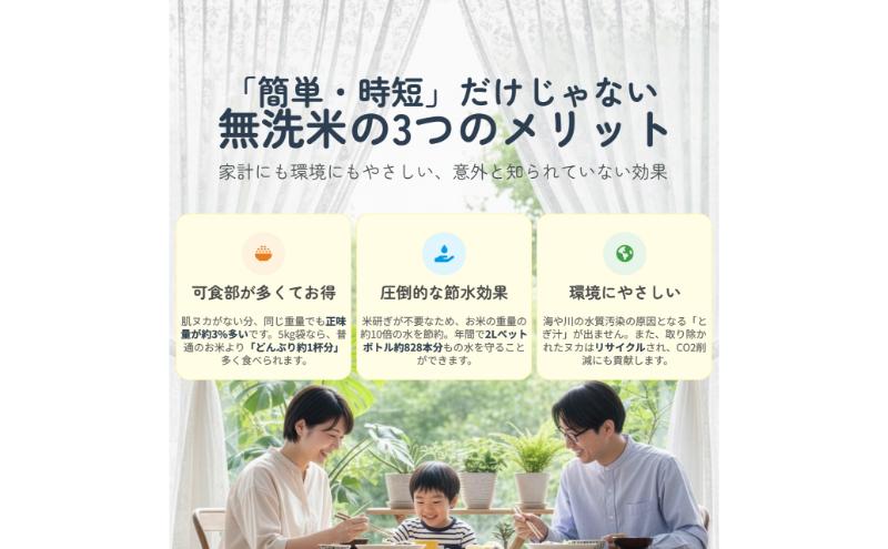 無洗米 新潟産 コシヒカリ 3kg 令和7年産