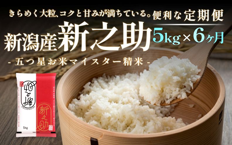 【定期便】新潟産 新之助 5kg×6回（6ヶ月）