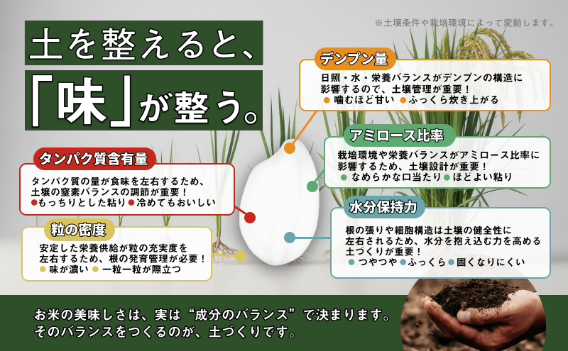 【先行予約】R8年産新潟産コシヒカリ5kg