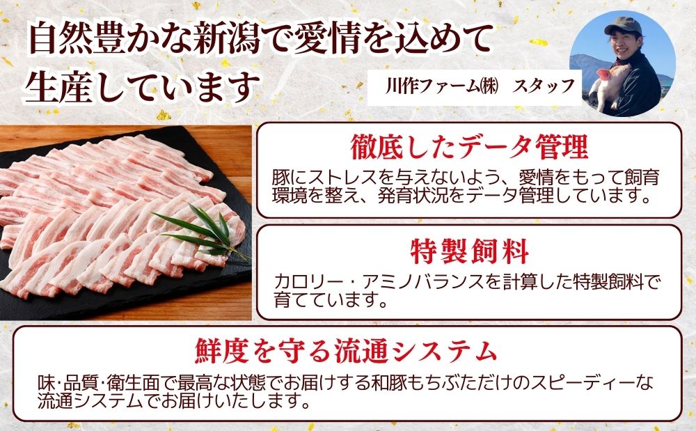 和豚もちぶたすき焼きとしゃぶしゃぶセット1.8kｇ