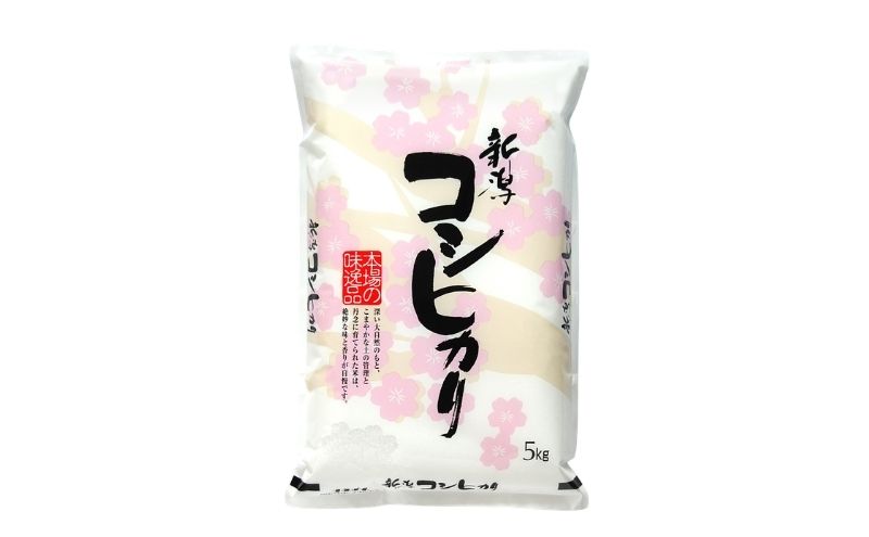 【最短3日配送】新潟県産 コシヒカリ  5kg 新潟県 新潟市産 令和7年産 お米 精米 米 ご飯 送料無料