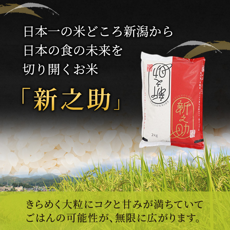 6ヶ月定期便 令和7年産 新潟市産 新之助 2kg 白米 精米 新潟県産 米 お取り寄せ ブランド米