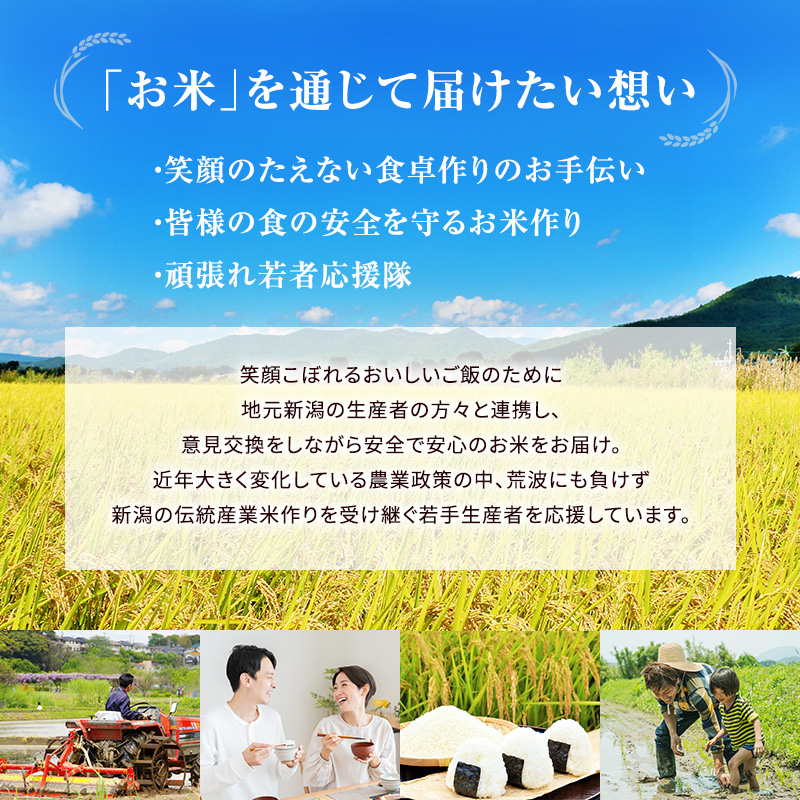 6ヶ月定期便 令和7年産 新潟市産 新之助 2kg 白米 精米 新潟県産 米 お取り寄せ ブランド米