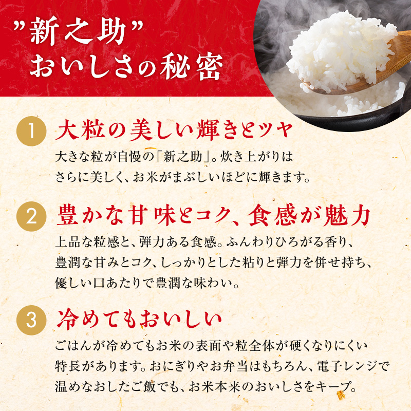 6ヶ月定期便 令和7年産 新潟市産 新之助 2kg 白米 精米 新潟県産 米 お取り寄せ ブランド米
