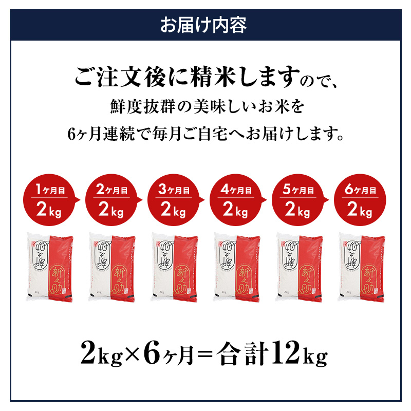 6ヶ月定期便 令和7年産 新潟市産 新之助 2kg 白米 精米 新潟県産 米 お取り寄せ ブランド米