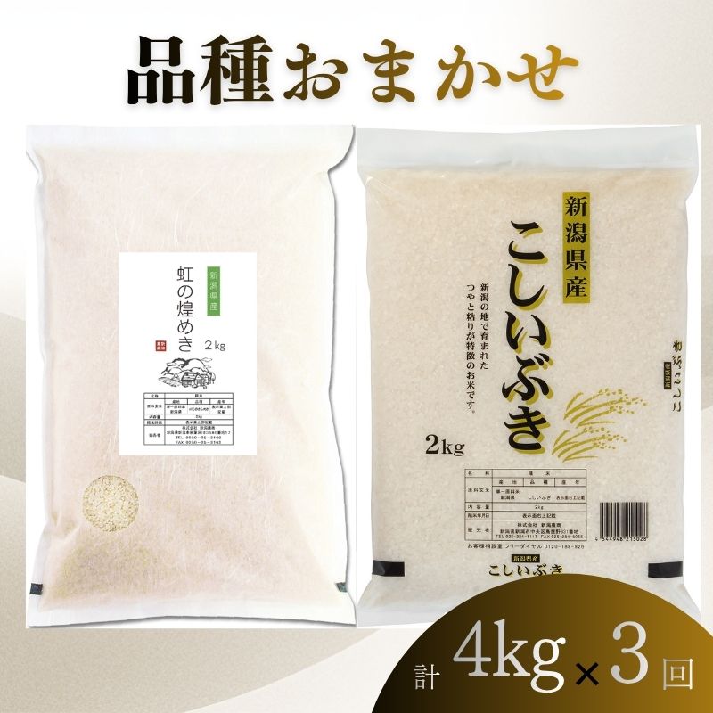 【7月上旬より配送】 新潟県産 品種おまかせ 4kg  3か月定期便 新潟県 新潟市産 令和7年産 お米 精米 米 ご飯 送料無料