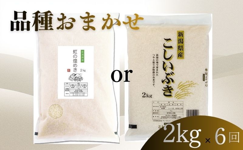 【8月上旬より配送】 新潟県産 品種おまかせ 2kg  6か月定期便 新潟県 新潟市産 令和7年産 お米 精米 米 ご飯 送料無料