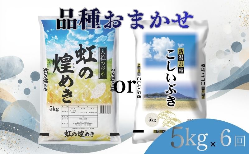 【8月下旬より配送】 新潟県産 品種おまかせ 5kg  6か月定期便 新潟県 新潟市産 令和7年産 お米 精米 米 ご飯 送料無料