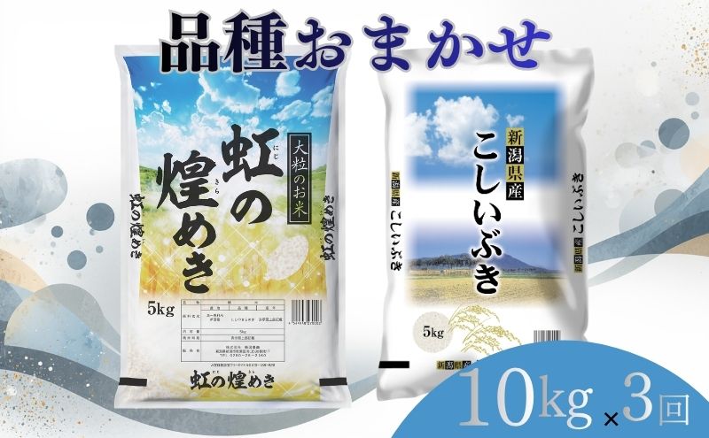 【8月下旬より配送】 新潟県産 品種おまかせ 10kg  3か月定期便 新潟県 新潟市産 令和7年産 お米 精米 米 ご飯 送料無料
