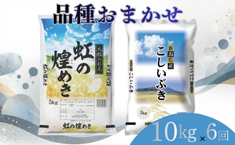 【8月下旬より配送】 新潟県産 品種おまかせ 10kg  6か月定期便 新潟県 新潟市産 令和7年産 お米 精米 米 ご飯 送料無料