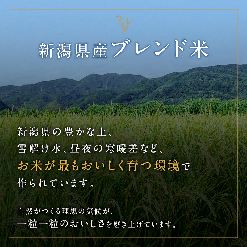 新潟ブレンド米 5kg 新潟県 新潟市産 令和7年産 お米 精米 米 ご飯 送料無料