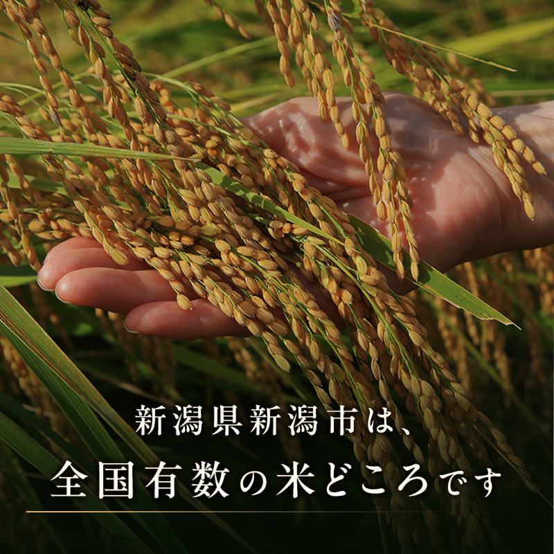 譁ー貎溘ヶ繝ャ繝ウ繝臥アウ 5kg 2縺区怦螳壽悄萓ソ 譁ー貎溽恁 譁ー貎溷クら肇 莉、蜥7蟷エ逕」 縺顔アウ 邊セ邀ウ 邀ウ 縺秘」ッ 騾∵侭辟。譁