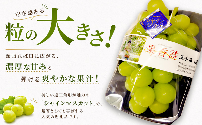 【先行受付】 新潟県産シャインマスカット 2房