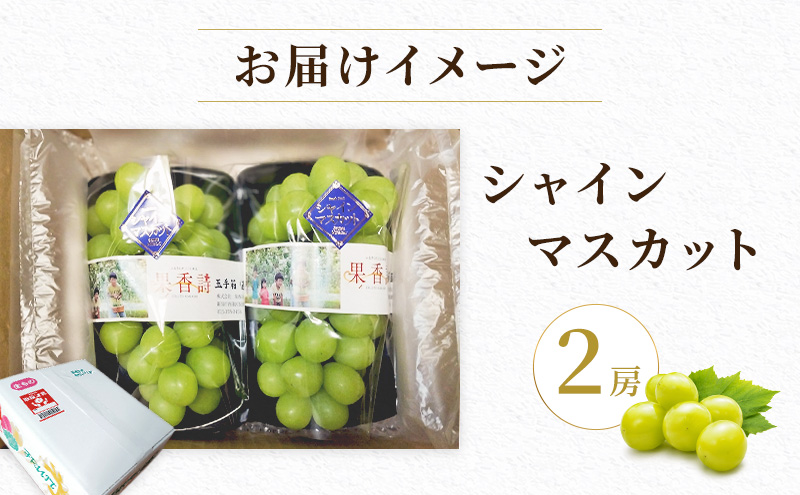 【先行受付】 新潟県産シャインマスカット 2房
