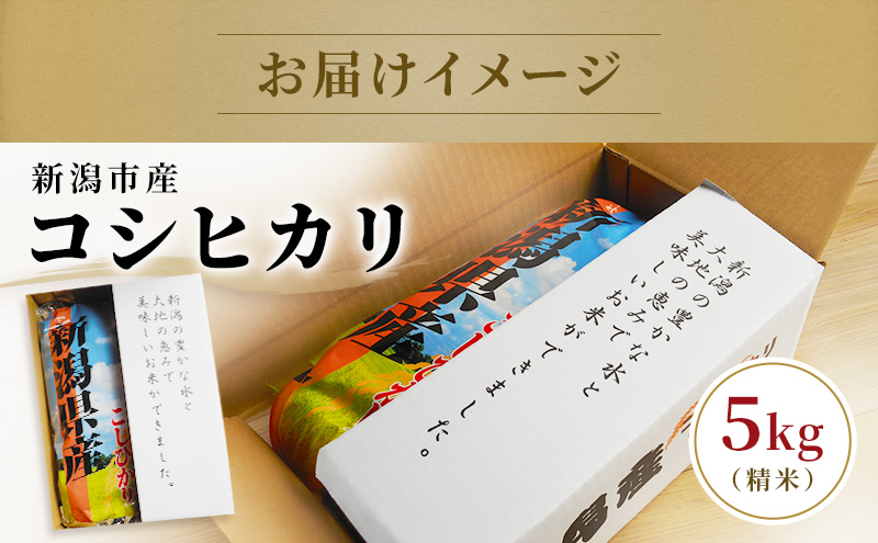 令和7年度米 新潟市産 越後金四郎コシヒカリ（特別栽培米）20kg