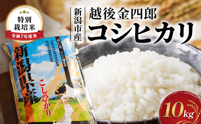 令和7年度米 新潟市産 越後金四郎コシヒカリ（特別栽培米）10kg