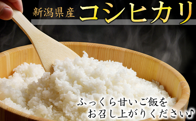 カガヤキ農園 新潟県産 特別栽培米 コシヒカリ 5kg 米 精米 白米 こめ コメ お米 おこめ こしひかり 新潟 新潟県特別栽培農産物認証取得 新潟県