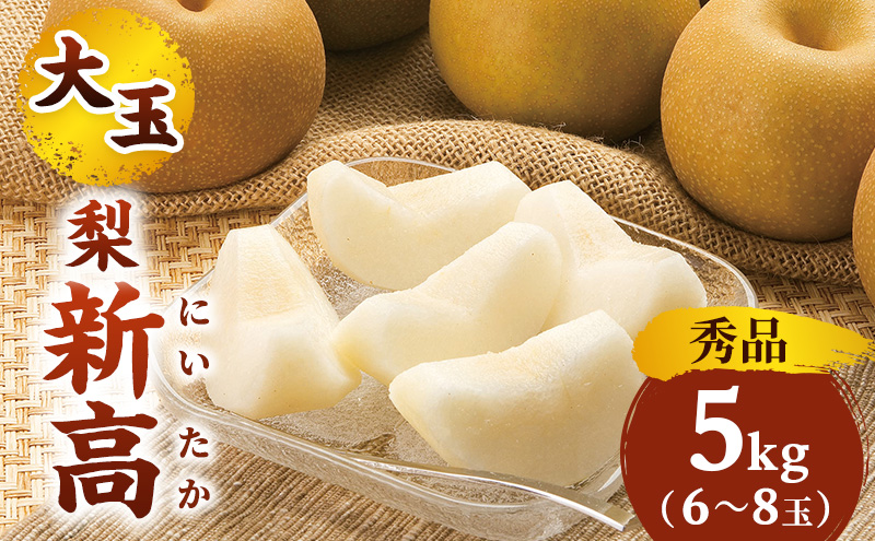 日本なし 新高（5kg秀品6～8玉） 梨 なし ナシ 大玉 フルーツ 果物 5kg 6玉 7玉 8玉 産地直送 新潟市産 新潟