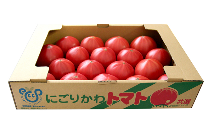 トマト 大玉系 約4kg  23～24玉 （ にごりかわトマト または 豊栄トマト） とまと 野菜 新鮮 産地直送 新潟県産 新潟市産 期間限定