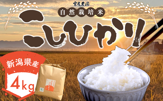 【令和5年産】宮尾農園 自然栽培米「コシヒカリ」4kg 米 令和5年 新米 お米 4kg こめ おこめ コメ 精米 コシヒカリ こしひかり セット ご飯 ごはん 白米 新潟 特別栽培米