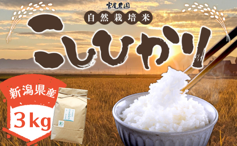 【令和6年産】宮尾農園 自然栽培米「コシヒカリ」3kg 米 令和6年 新米 お米 こめ おこめ コメ 精米 コシヒカリ こしひかり セット ご飯 ごはん 白米 新潟 有機栽培米 