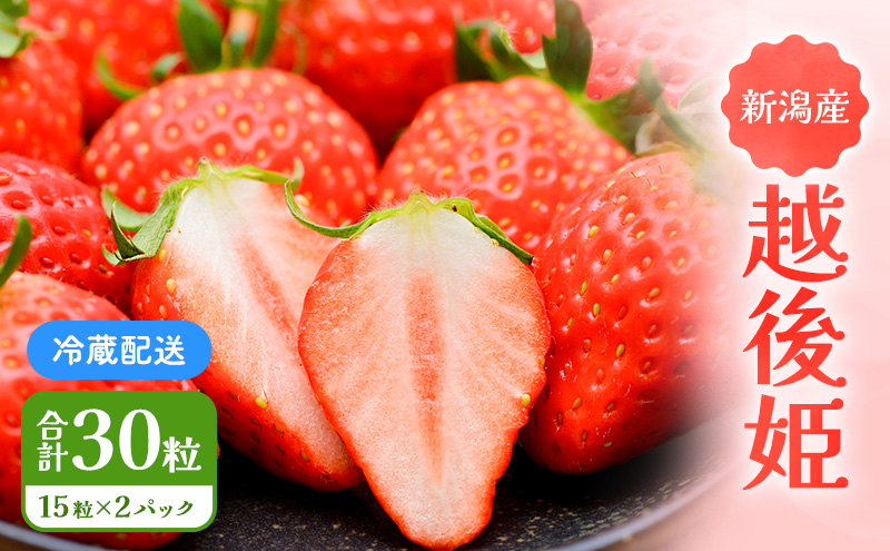 「越後姫」イチゴ 15粒 2パック 果物類 いちご 苺