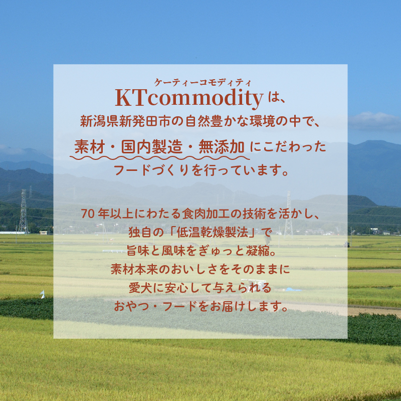 ããã°ããŒã çèãžã£ãŒã㌠400gã çè ç ããã¯ããŒã ãžã£ãŒã㌠ããã ãã〠ãããçšå ç¬çš ç¡æ·»å ç¡çè² åœå
補é å®å¿ å®å
š èªç¶é£å ã±ãŒãã£ãŒã³ã¢ãã£ã㣠KT æ°æœç æ°çºç°åž KT047