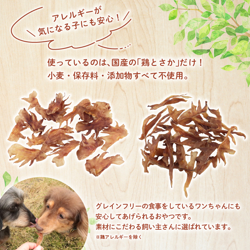 ããã°ããŒã ãšãã现åã 300g ã é¶ ãšãã ããã¯ããŒã 现åã ããã ãã〠ãããçšå ç¬çš ç¡æ·»å ç¡çè² åœå
補é å®å¿ å®å
š èªç¶é£å ã±ãŒãã£ãŒã³ã¢ãã£ã㣠KT æ°æœç æ°çºç°åž KT050 ã